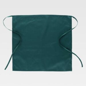 TaskMaster Apron